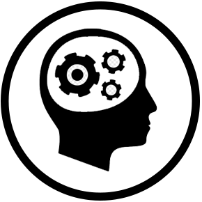 insights